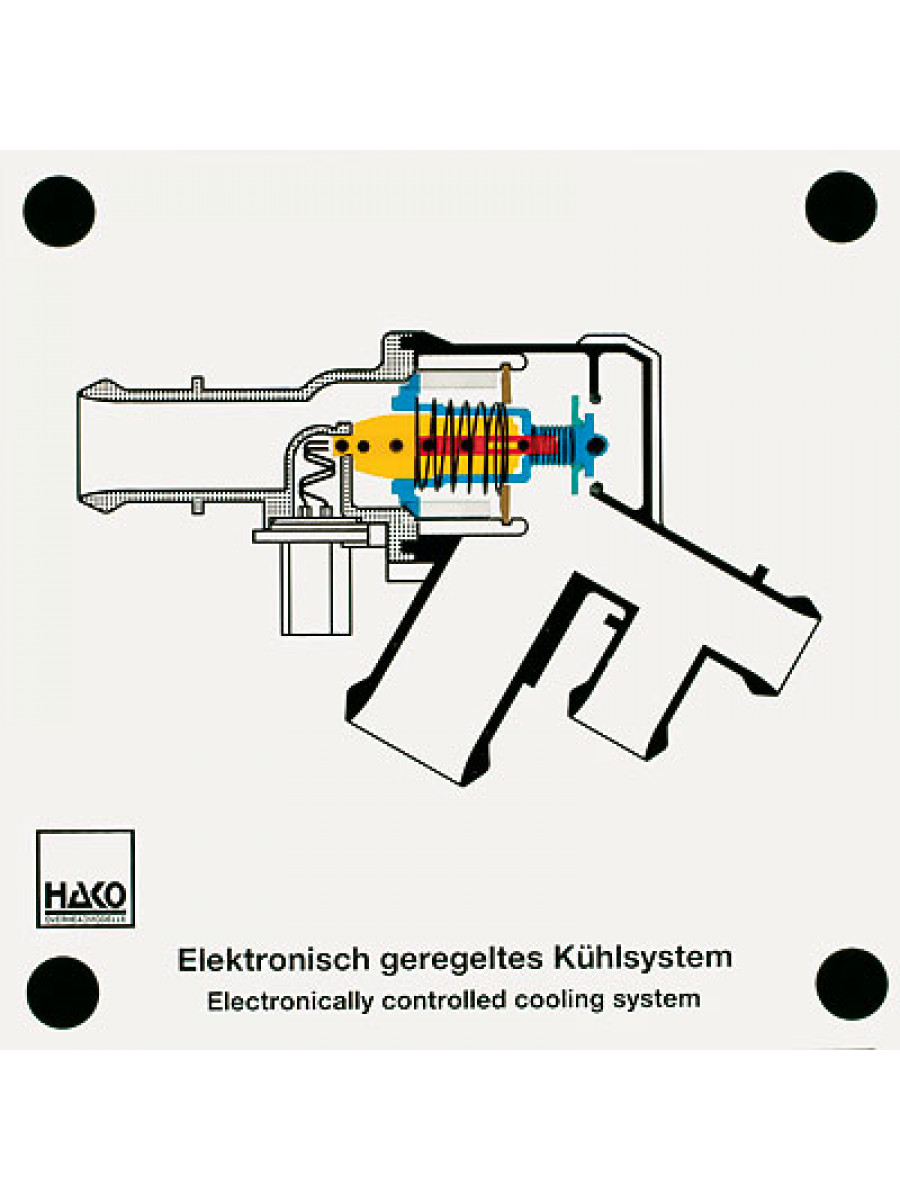 Elektronisch geregeltes Kühlsystem