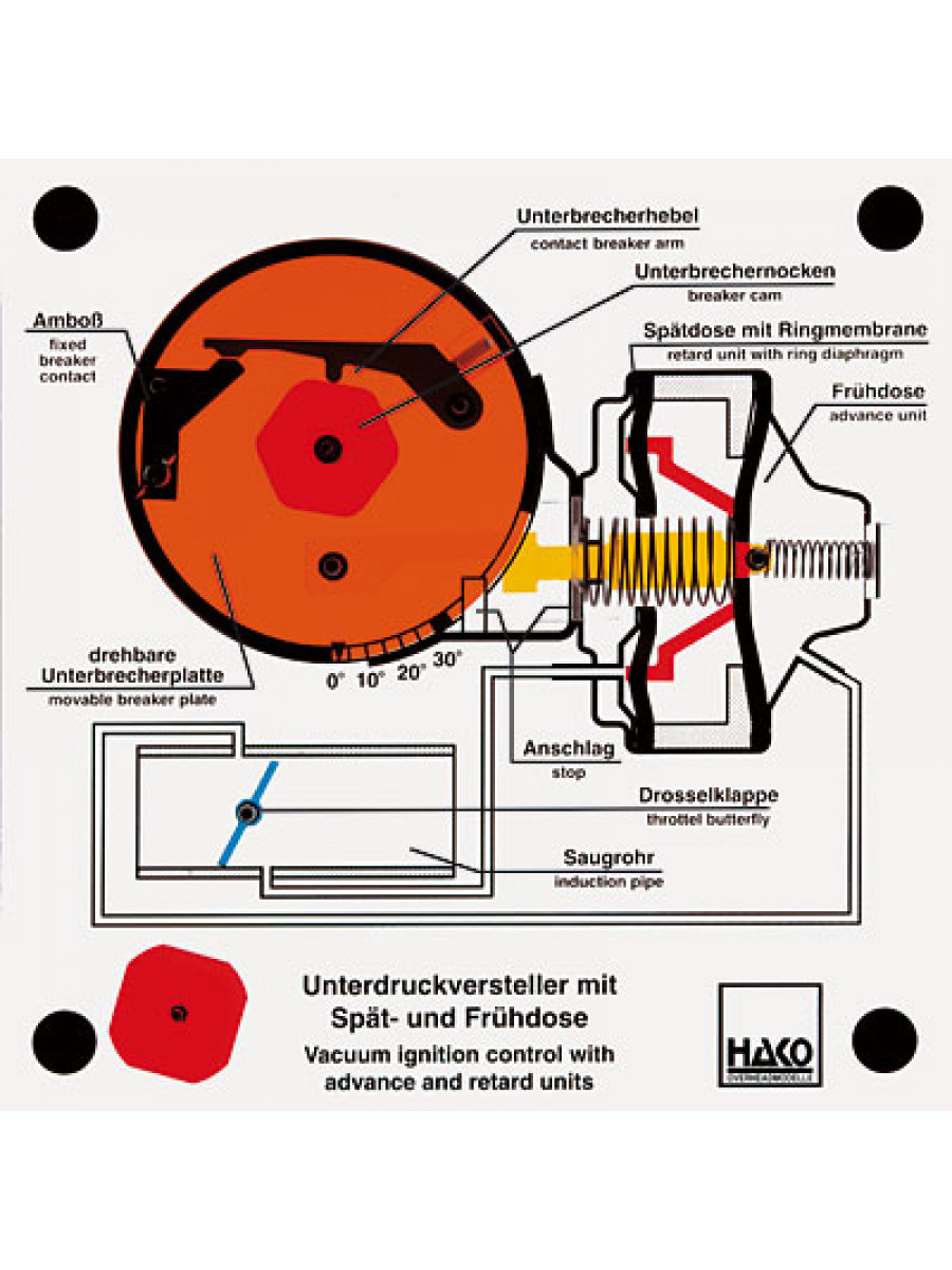 Ognition distributor with advanced and retarded ignition