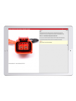 Digitale Arbeitsaufträge T-Box Isolationswiderstand